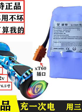 平衡车电池36v42v通用扭扭儿童漂移滑板车4400大容量动力版通用