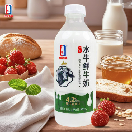 南国乳业水牛鲜牛奶960ml/瓶