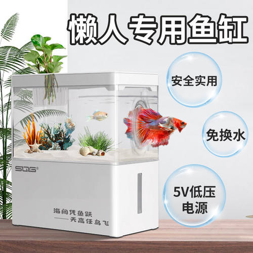 sqg斗鱼鱼缸小型金鱼缸迷你桌面
