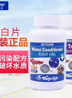 正品大白片罗汉七彩斗鱼龙鱼外寄大白片waterlife内寄大白片