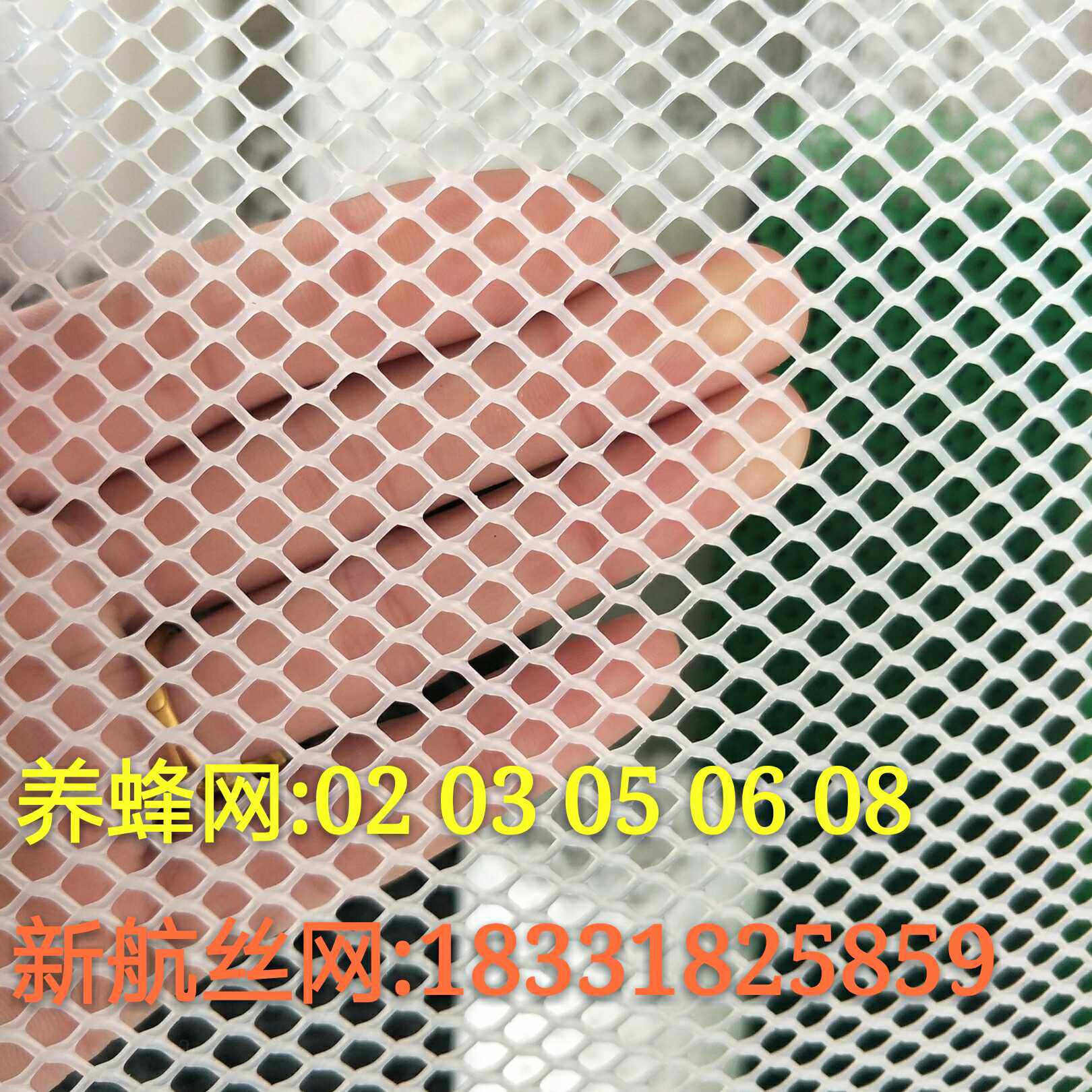 加厚塑料平网养殖网小孔养蜂网0.2 0.3 0.6蜜蜂马蜂蛇蚕塑料胶网