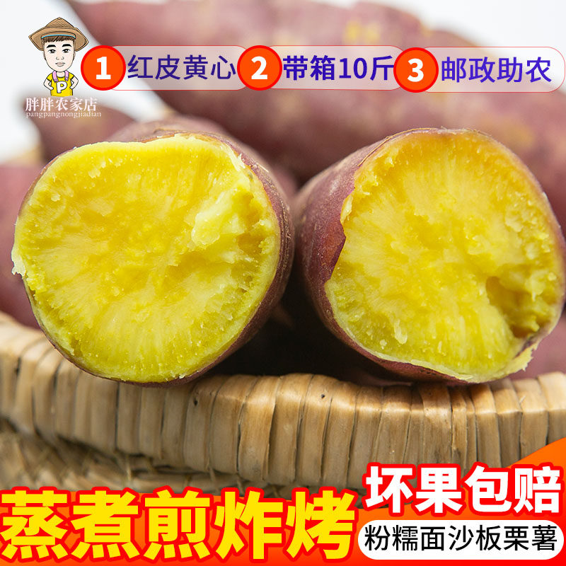 山东红薯新鲜农家板栗地瓜图片