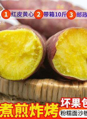 山东红薯新鲜农家板栗地瓜