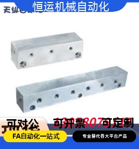 液压 气压歧管块BMGN1/BMGN2/BMGN3/BMGN4/BMGN5/BMGN6-11 22N