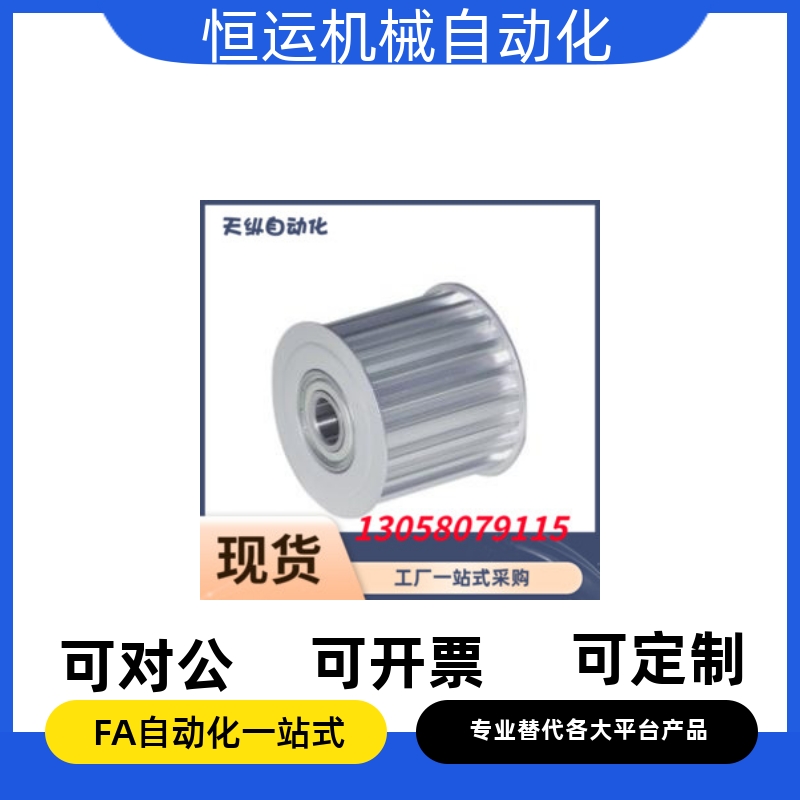 惰轮EVD01/EVD21-24 25 26 28 30 32 36 40 44 48 50 60-S3M060