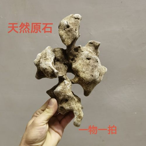 太湖石观赏摆件石英石墨石玲珑石盆景附精品奇石天然原石头C02