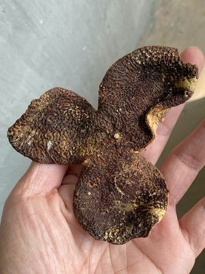 2018年正宗新会陈皮小冈冬后大红泡水10年微蛀特价