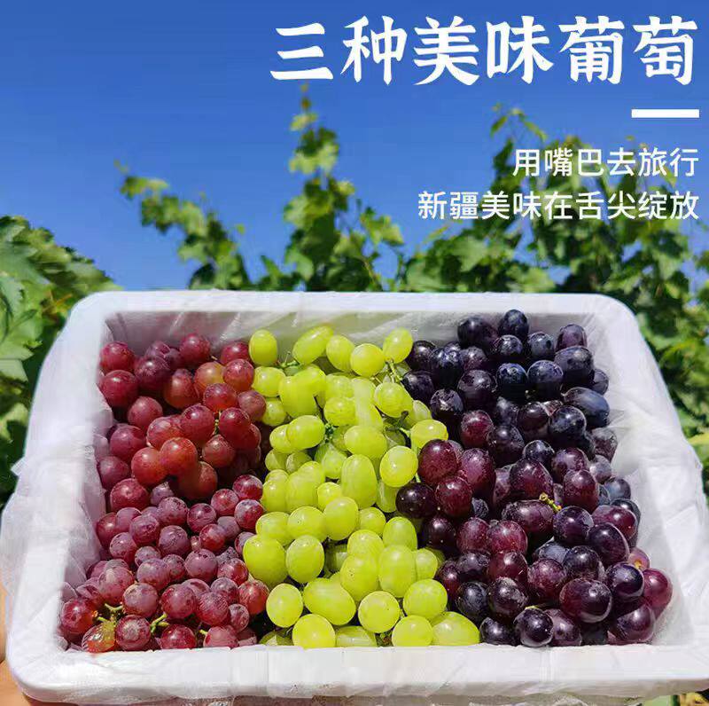 顺丰冷链新疆吐鲁番三色葡萄