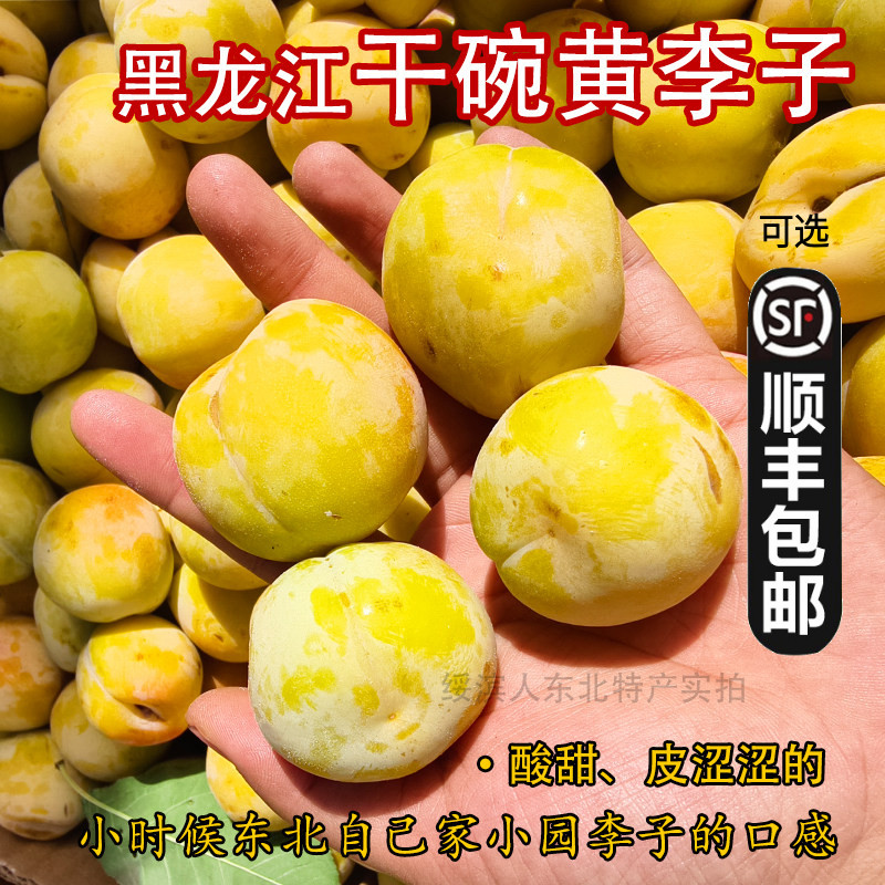 东北老式李子新鲜甜脆脱骨干碗黄李子鸡心形干核新鲜水果李子特产