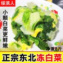 正宗黑龙江东北冷冻白菜农家自产扒了棵小颗白菜蘸酱菜时令蔬菜