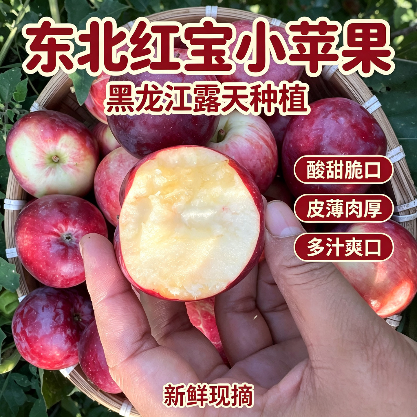 黑龙江果味超浓红宝小苹果沙果