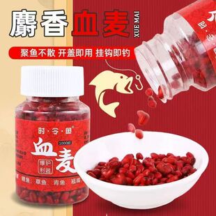 GFBH钓鱼挂钩麦粒血麦谷麦饵料鲫鱼通杀鲤鱼草鱼野钓红虫颗粒