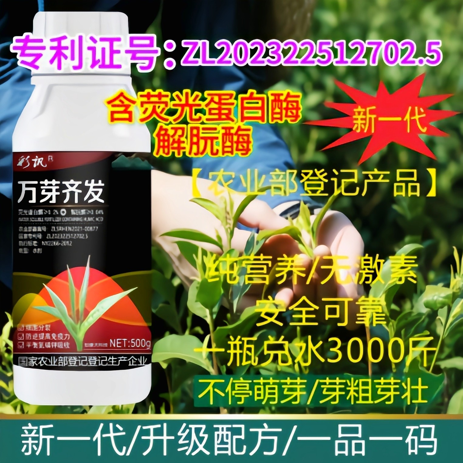 茶叶催芽剂增产芽多多专用叶面肥爆芽催芽肥茶树专用肥料水溶肥图片