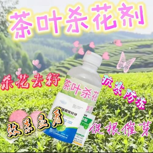 茶叶杀花剂控花药专用叶面肥控旺药催芽素防冻叶面肥水溶肥防冻
