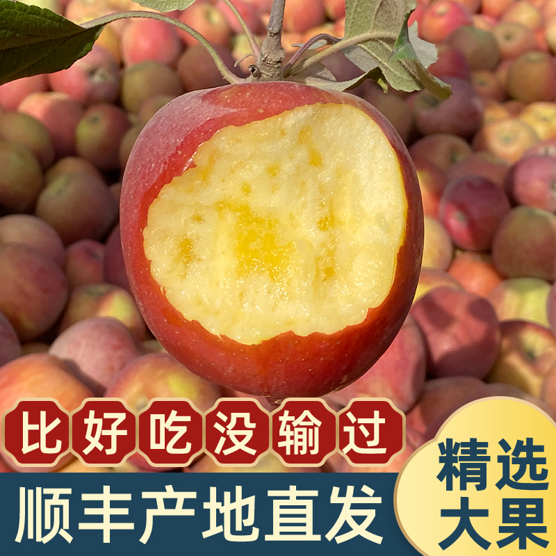 新疆阿克苏冰糖心苹果顺丰直发