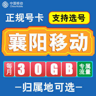 湖北襄阳移动卡手机电话卡4G流量通话卡全国通用长期低月租无漫游