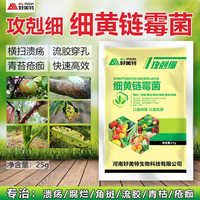 细黄链霉菌农用杀菌剂果树蔬菜白菜草莓干尖黄叶细菌溃疡软腐烂病