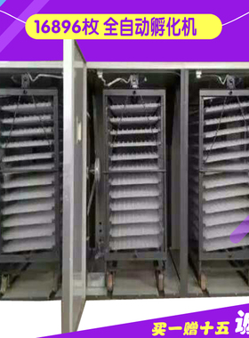 16896枚斗鸡孵化机火鸡孵化器鸽子孵化箱多功能大型孵化设备包邮