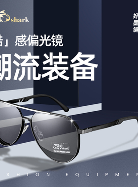 库克鲨鱼偏光高级感冬太阳镜男
