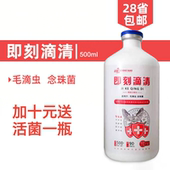 正阳鸽药即刻滴清赛鸽信鸽子毛滴虫念珠菌幼鸽口黄净白点绿便