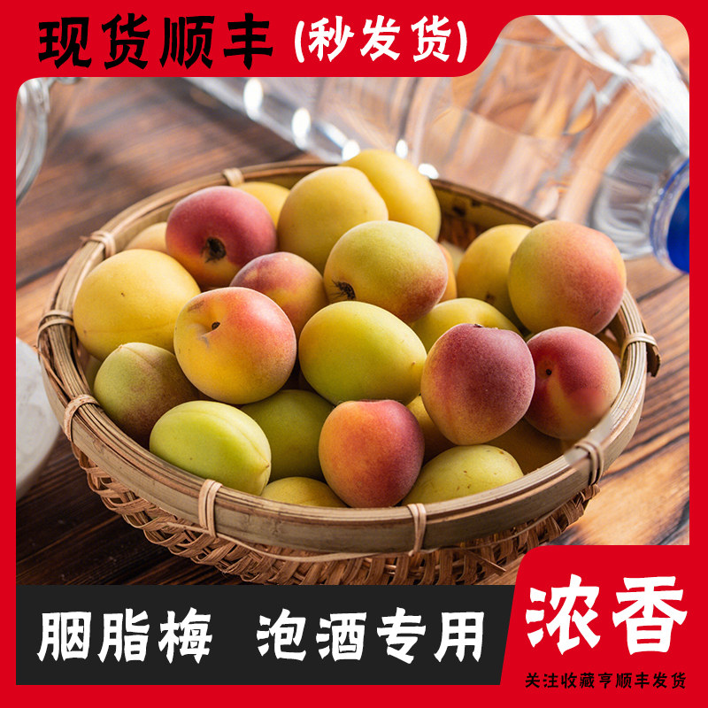 诏安新鲜青梅果泡酒梅子现摘胭脂梅完熟黄梅5斤装