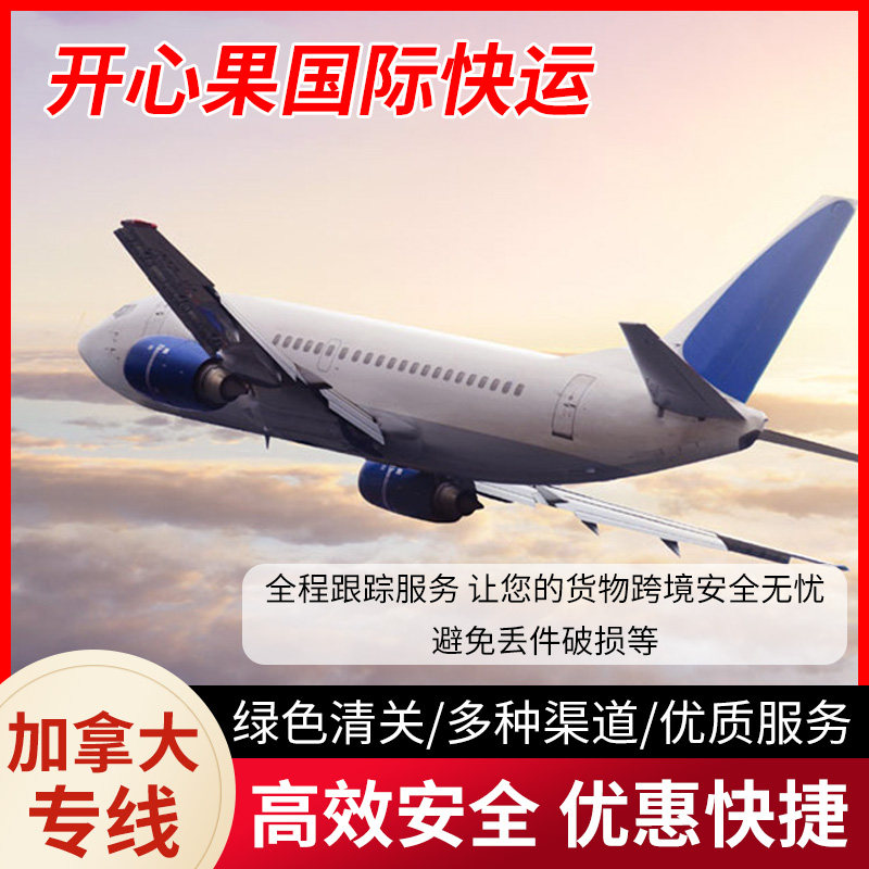 加拿大物流专线国际快递集运邮寄国际快递到加拿大空运海运物流