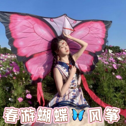 2026年春日蝴蝶风筝infp氛围