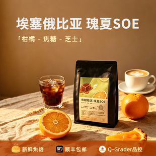 瑰夏SOE新鲜烘焙埃塞俄比亚阿拉比卡意式冷萃精品口粮手冲咖啡豆