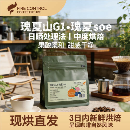 火术埃塞瑰夏SOE中烘手冲豆