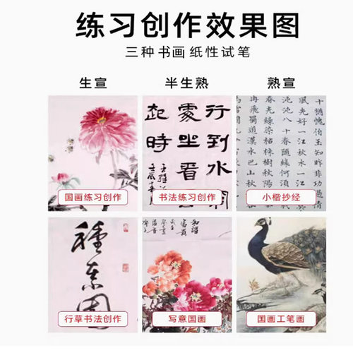 书法书画纸初学者练字作