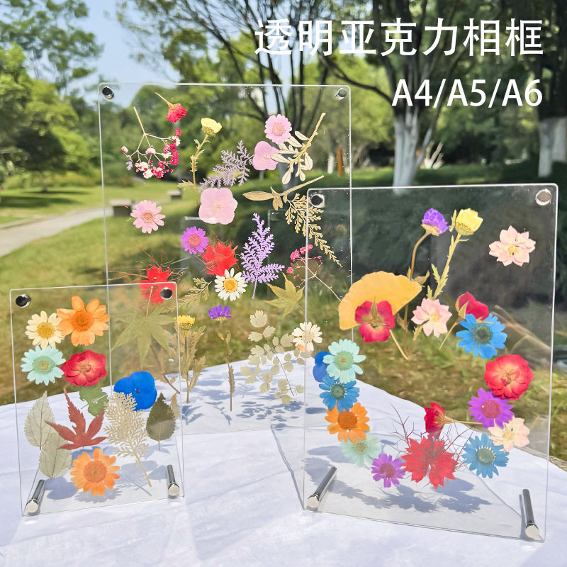 创意手工diy干花压花标本展示标牌 亚克力透明A4A5A6相框押花画框