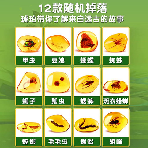 考古挖掘玩具琥珀昆虫标本挖宝石盲盒寻宝恐龙化石夜光男孩挖宝藏