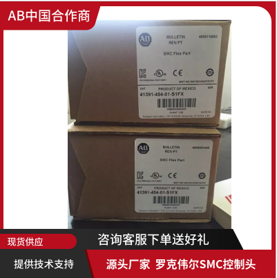 41391-454-01-S1FX 罗克伟尔SMC控制头 全新原装现货质保一年
