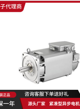 1PH8103-1SF02-3LC1/1FK7105-2AF71-1RG0西门子电机 全新原装正品