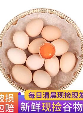 【33-41克/枚】农家散养鸡蛋新鲜虫草柴鸡蛋现捡-粉壳鸡蛋6-40枚