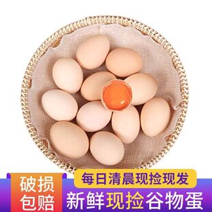 农家山林散养鸡蛋新鲜虫草柴鸡蛋现捡6 枚 45g 40枚 33g