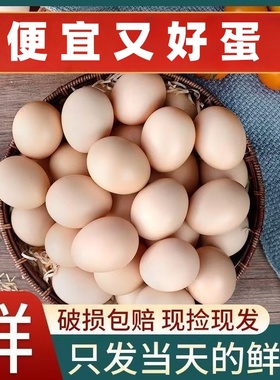 【33g-45g/枚】农家山林散养鸡蛋新鲜虫草柴土鸡蛋现捡6-40枚