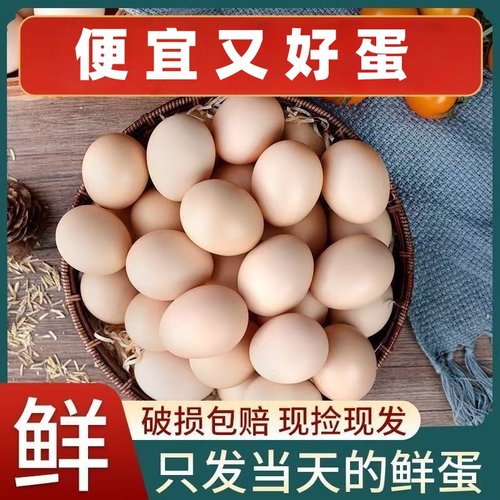 农家新鲜散养鸡蛋35克箱盒包装