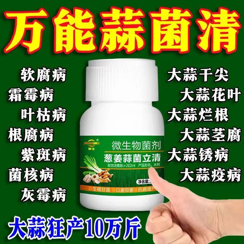 蒜菌清原液大蒜种植专用微生物菌肥生根养根粗壮补充营养水溶肥料