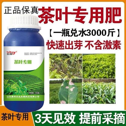 茶叶猛长茶叶专用药茶叶催芽芽长芽嫩增产茶叶茶树专用叶面肥