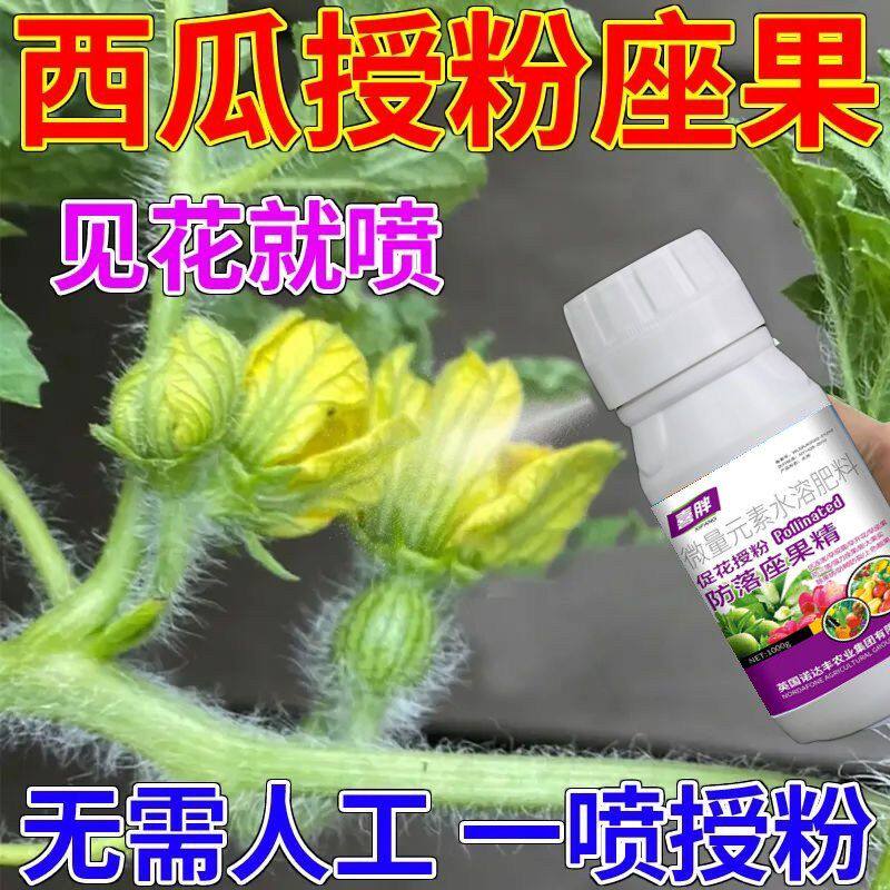 西瓜授粉专用药点花药免沾花授粉坐果精保花保果素防落防畸叶面肥