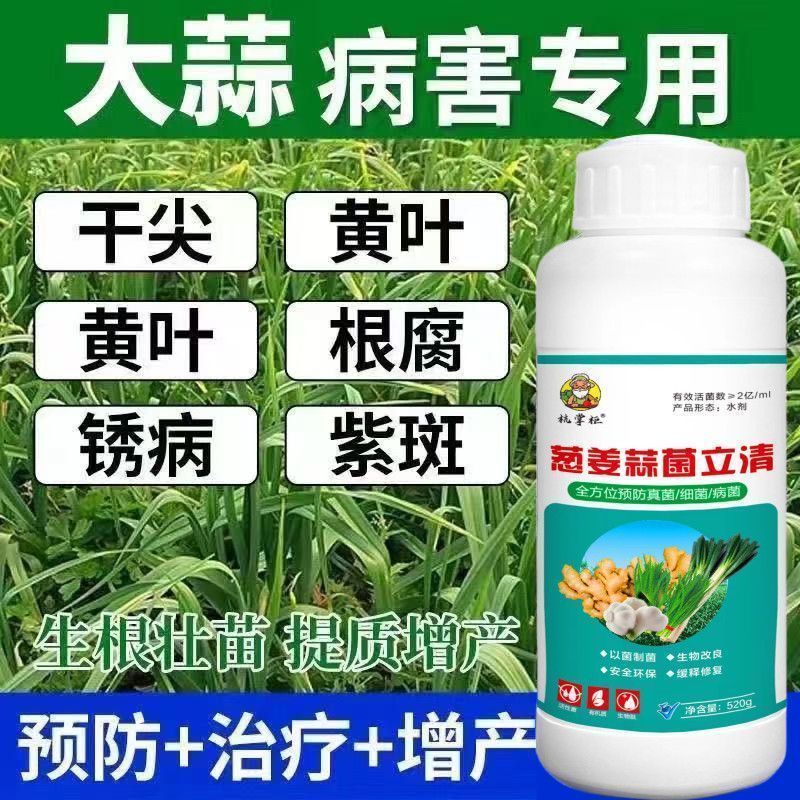 治辣椒病害辣椒专用药炭疽病溃疡病软腐病烂果花皮病防烂特效农药