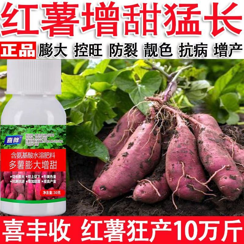 红薯专用膨大素红薯专用药控旺增产防裂抗病红薯叶面肥膨大素正品