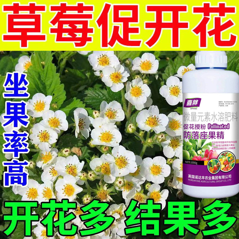 草莓授粉专用座果精草莓药强座果保花保果防裂防落增产膨大专用肥