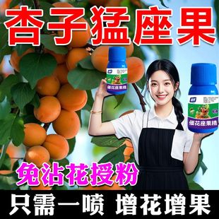 杏树专用授粉座果精授粉药强力授粉座果保花梨杏树无需沾花坐果灵
