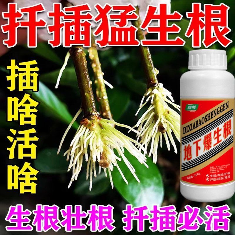 生根粉生根壮苗剂增产速效生根液大树移栽植苗木扦插月季果树生根