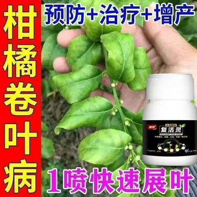 柑橘病全治柑橘卷叶病疮痂病炭疽病砂皮病黑斑黑星病柑橘杀菌剂