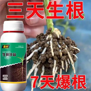 进口生根粉生根壮苗剂速效生根液大树移植苗木扦插月季果树生根