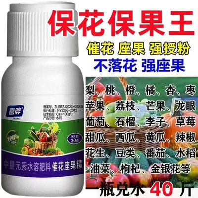 保花保果药防落素叶面肥促花授粉坐果灵果树柑橘番茄桃树芒果李子