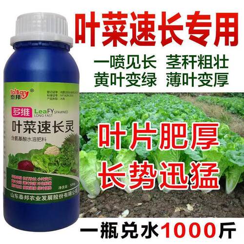 叶菜猛长蔬菜肥料叶厚叶片嫩绿青菜大白菜芹菜通用叶菜速长叶面肥